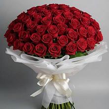 Букет 101 Красная роза Блэк Мэджик #REPLACE_PRED# Краснознаменский