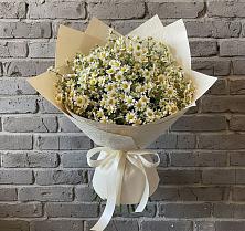Букет цветов из:  Ромашки в Краснознаменский