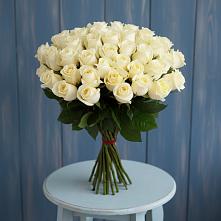 Букет 51 Белая роза Эдлесс Лав в Краснознаменский