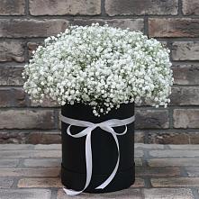 Цветочная композиция из Гипсофила в шляпной коробке в Краснознаменский