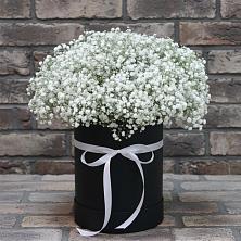 Цветочная композиция из Гипсофила в шляпной коробке в Краснознаменский