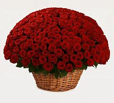 Премиум букет из: Розы #REPLACE_PRED# Краснознаменский