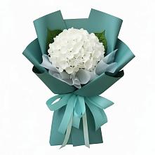 Букет цветов из:  Гортензия в Краснознаменский